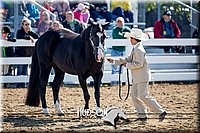 4H-District-17-1149.jpg