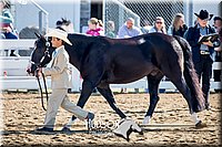 4H-District-17-1151.jpg