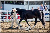 4H-District-17-1152.jpg