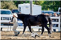 4H-District-17-1155.jpg