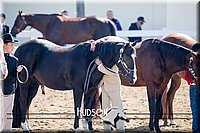 4H-District-17-1161.jpg