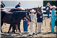 4H-District-17-1170.jpg