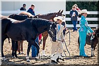 4H-District-17-1173.jpg