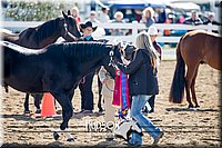 4H-District-17-1175.jpg