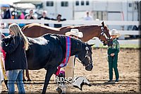 4H-District-17-1177.jpg