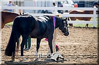 4H-District-17-1178.jpg