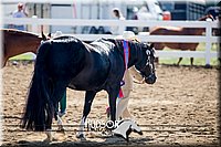 4H-District-17-1179.jpg