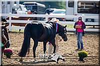 4H-District-17-1180.jpg