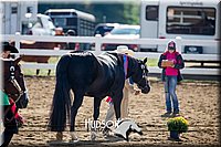 4H-District-17-1181.jpg