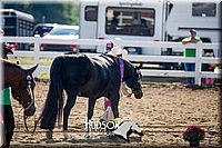 4H-District-17-1182.jpg