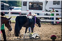 4H-District-17-1183.jpg