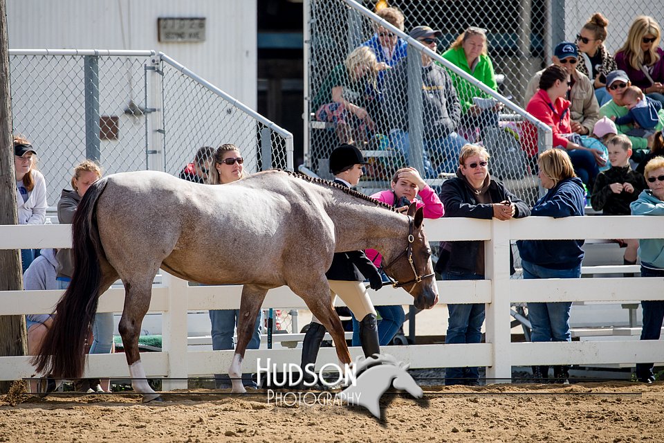 4H-District-17-1204.jpg