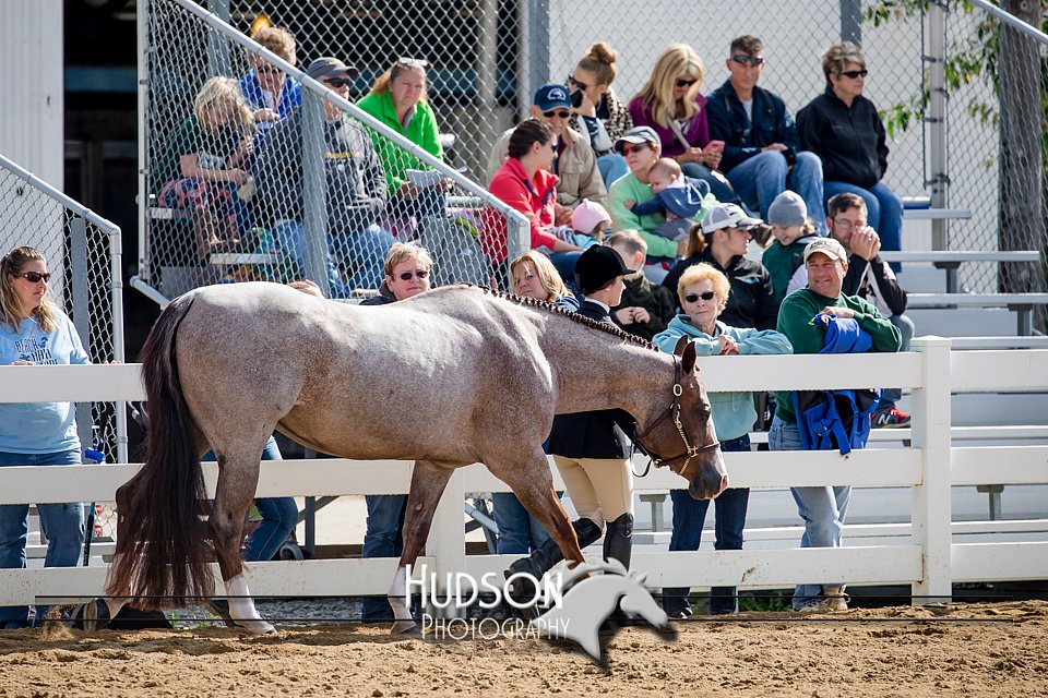 4H-District-17-1205.jpg