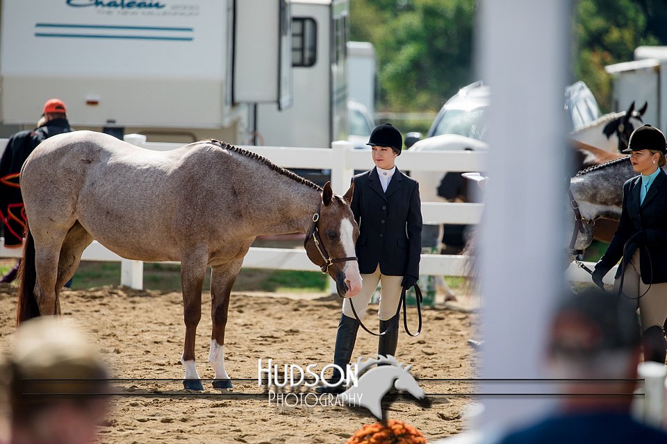 4H-District-17-1206.jpg