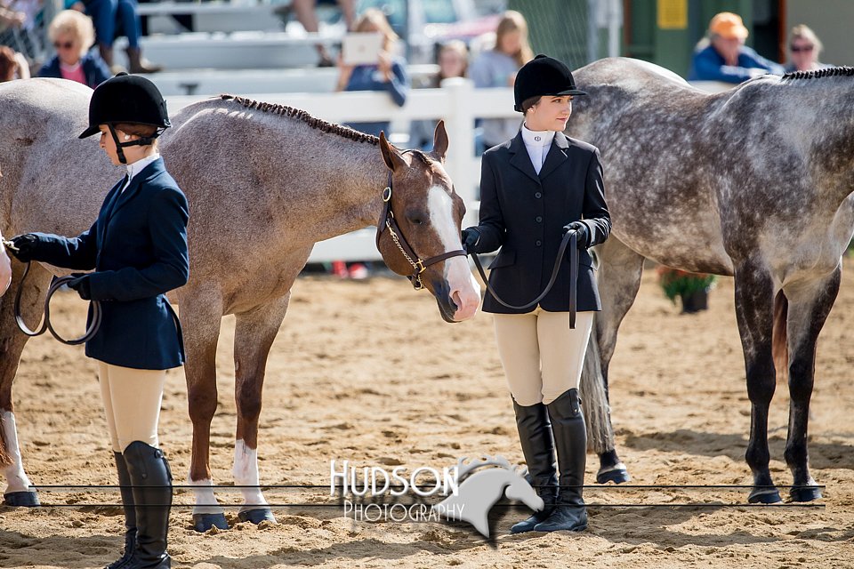 4H-District-17-1208.jpg