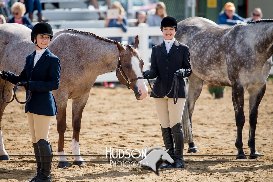 4H-District-17-1209.jpg