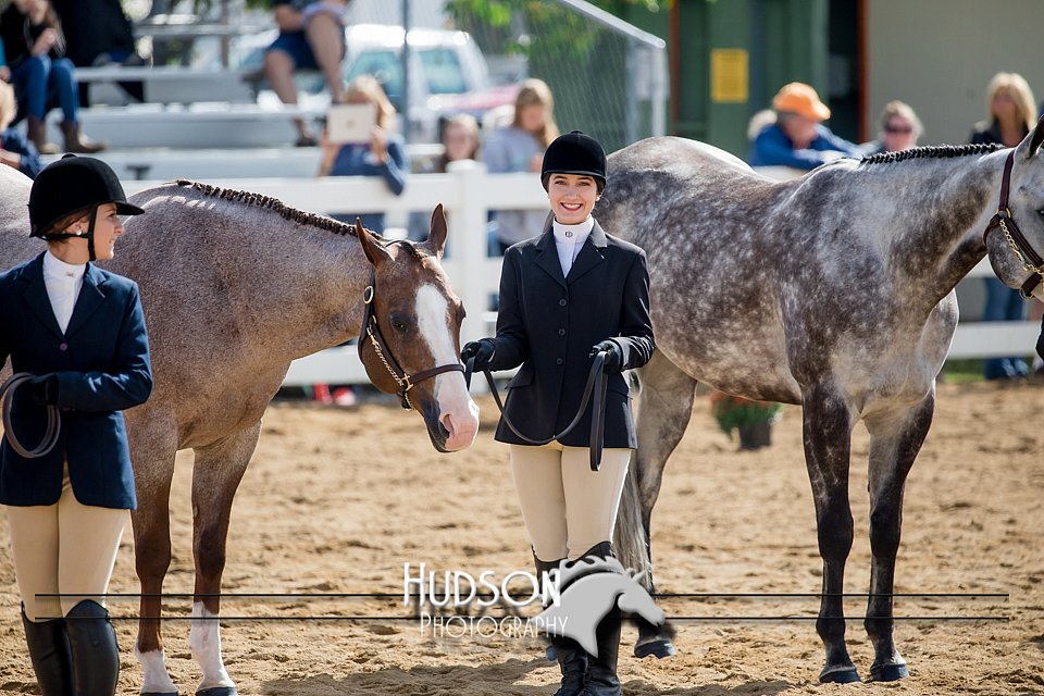 4H-District-17-1210.jpg