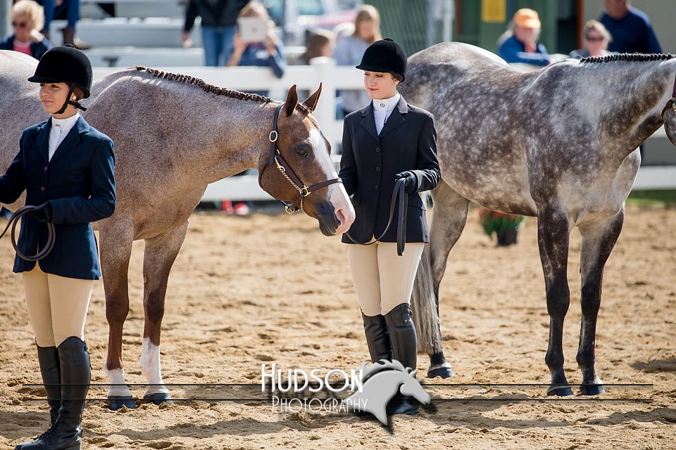 4H-District-17-1212.jpg