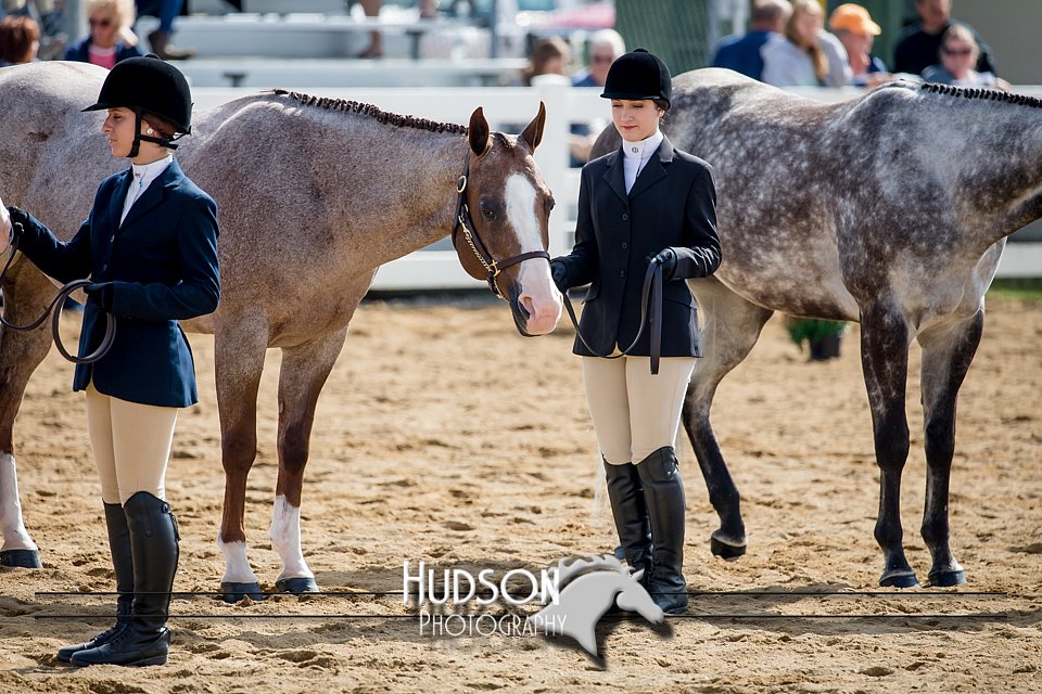 4H-District-17-1215.jpg