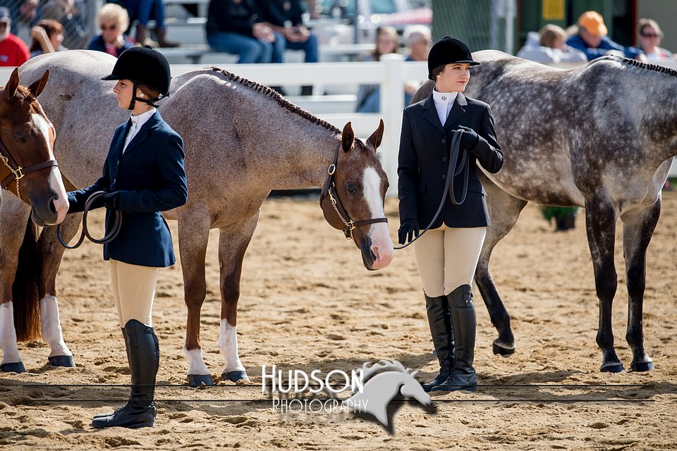 4H-District-17-1216.jpg