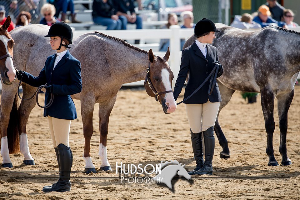 4H-District-17-1218.jpg