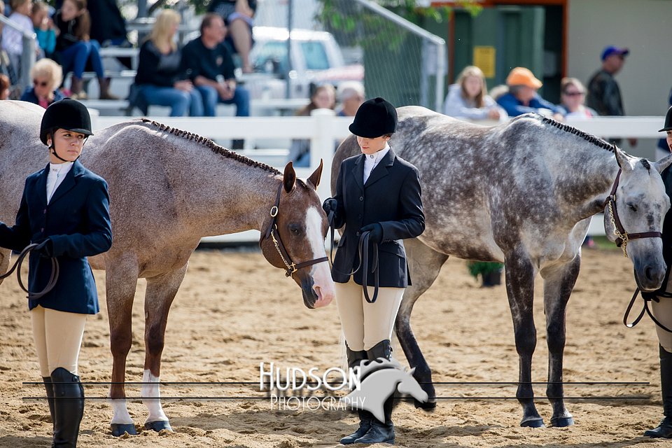 4H-District-17-1219.jpg