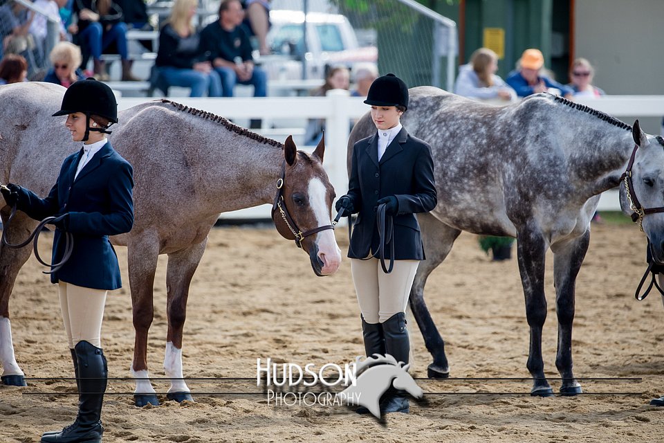 4H-District-17-1220.jpg
