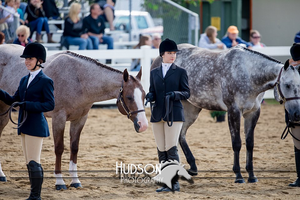 4H-District-17-1221.jpg