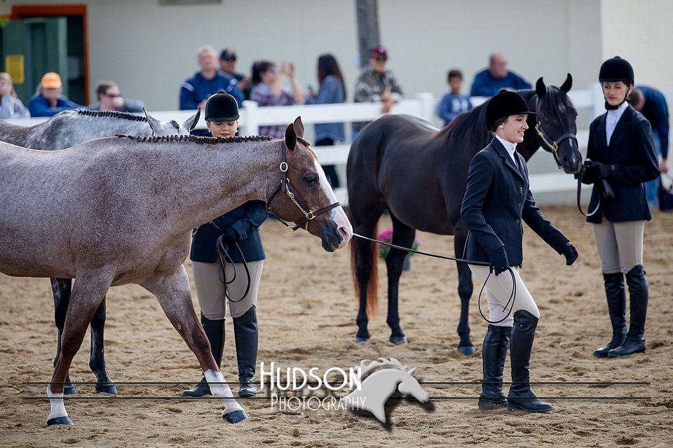4H-District-17-1231.jpg