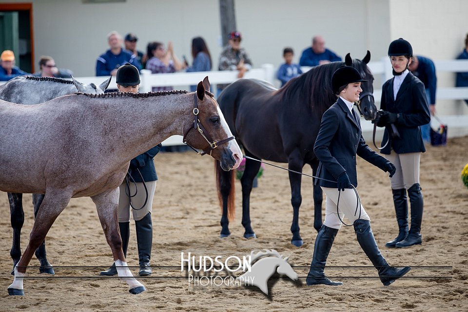4H-District-17-1232.jpg