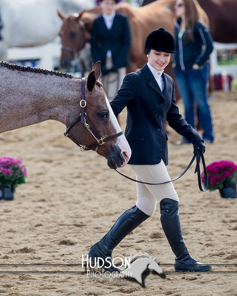 4H-District-17-1236.jpg