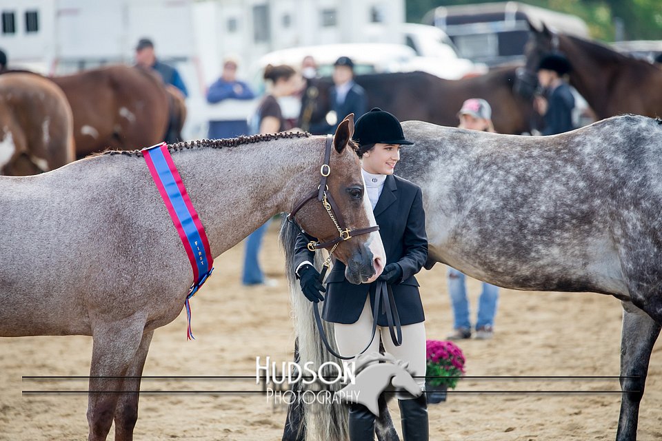 4H-District-17-1241.jpg