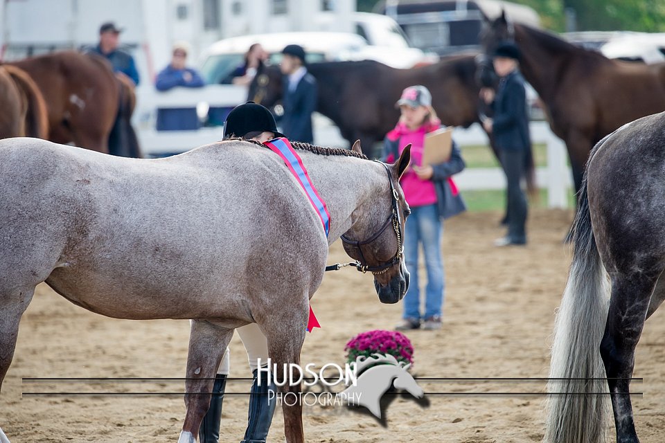 4H-District-17-1243.jpg