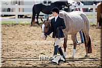 4H-District-17-1187.jpg