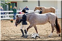 4H-District-17-1188.jpg