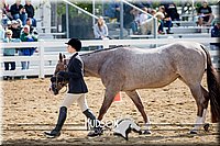 4H-District-17-1189.jpg