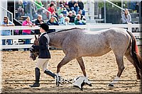 4H-District-17-1190.jpg