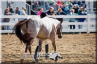 4H-District-17-1196.jpg