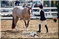 4H-District-17-1198.jpg