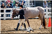 4H-District-17-1199.jpg