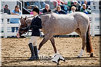 4H-District-17-1200.jpg