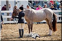 4H-District-17-1201.jpg