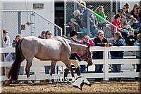 4H-District-17-1204.jpg