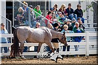 4H-District-17-1205.jpg