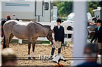 4H-District-17-1206.jpg