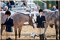 4H-District-17-1207.jpg