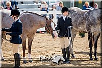 4H-District-17-1208.jpg