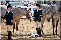 4H-District-17-1209.jpg