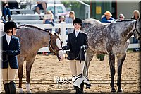 4H-District-17-1210.jpg