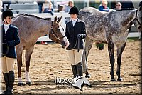 4H-District-17-1211.jpg